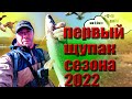 №31 Рыбалка в апреле Рыбалка Уфа Жерех рыба Хитрая