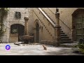 CINEMATIC ANIMATION | D5 RENDER | SCAN MODELS