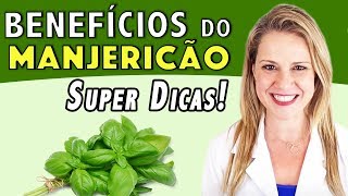 Benefícios do Manjericão - Para Que Serve? Emagrece? E o Chá? [DICAS]