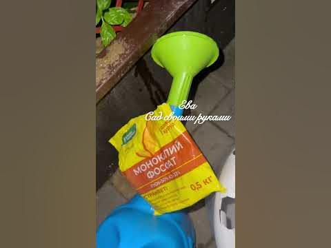 🔥КОРМИМ ЧЕРЕНКИ Монокалий Фосфат - YouTube