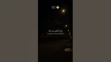 وإذا مس الناس ضر دعوا ربهم منيبين إليه | الآية 33 من سورة الروم |  #المنشاوي