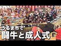 うるま市で闘牛と成人式