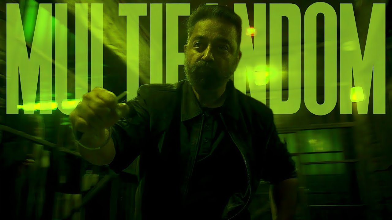 The Biggest Multifandom Edit