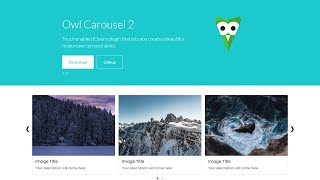 Owl Carousel With Bootstrap 5