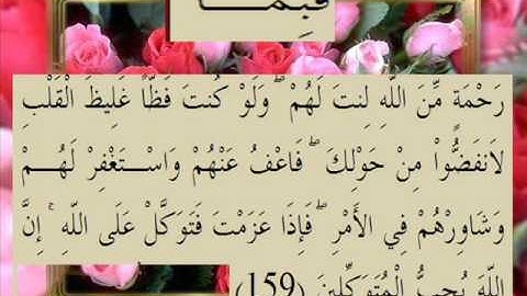 القران الكريم سورة آل عمران الأية 159