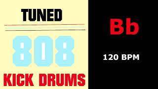 Bb  - 120 BPM - Tuned 808 Kick Drum Metronome