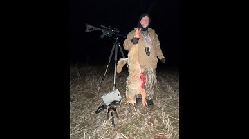 FoxPro X24 strikes again.