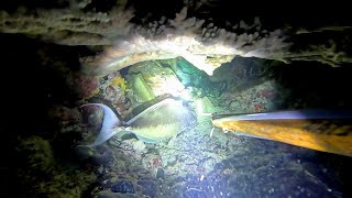 ANOTHER DAYO🙌 | DALAWANG UNICORN😀 #spearfishingphilippines #fishing #adventure #fish #food #viral 