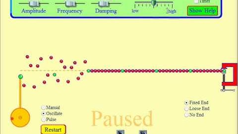 Waves on a String: Simulation