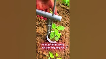Hay nha! Dụng cụ đục lỗ cấy bầu cây, di chuyển cây con.