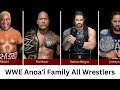 WWE Anoaʻi Family All Wrestlers