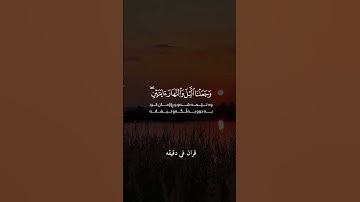 قران كريم ارح قلبك وسمعك الشيخ #quran#قران_في_دقيقة #قرآن #رزكار_الكردي @brahim hamidat