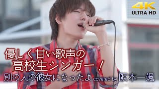 【 歌うま 】優しく甘い歌声の高校生シンガー！　別の人の彼女になったよ / Wacci（covered by 阪本一颯  ）4K映像