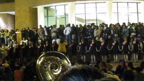 Alpha Kappa Alpha | Theta Rho Spring 09 Probate pt 4