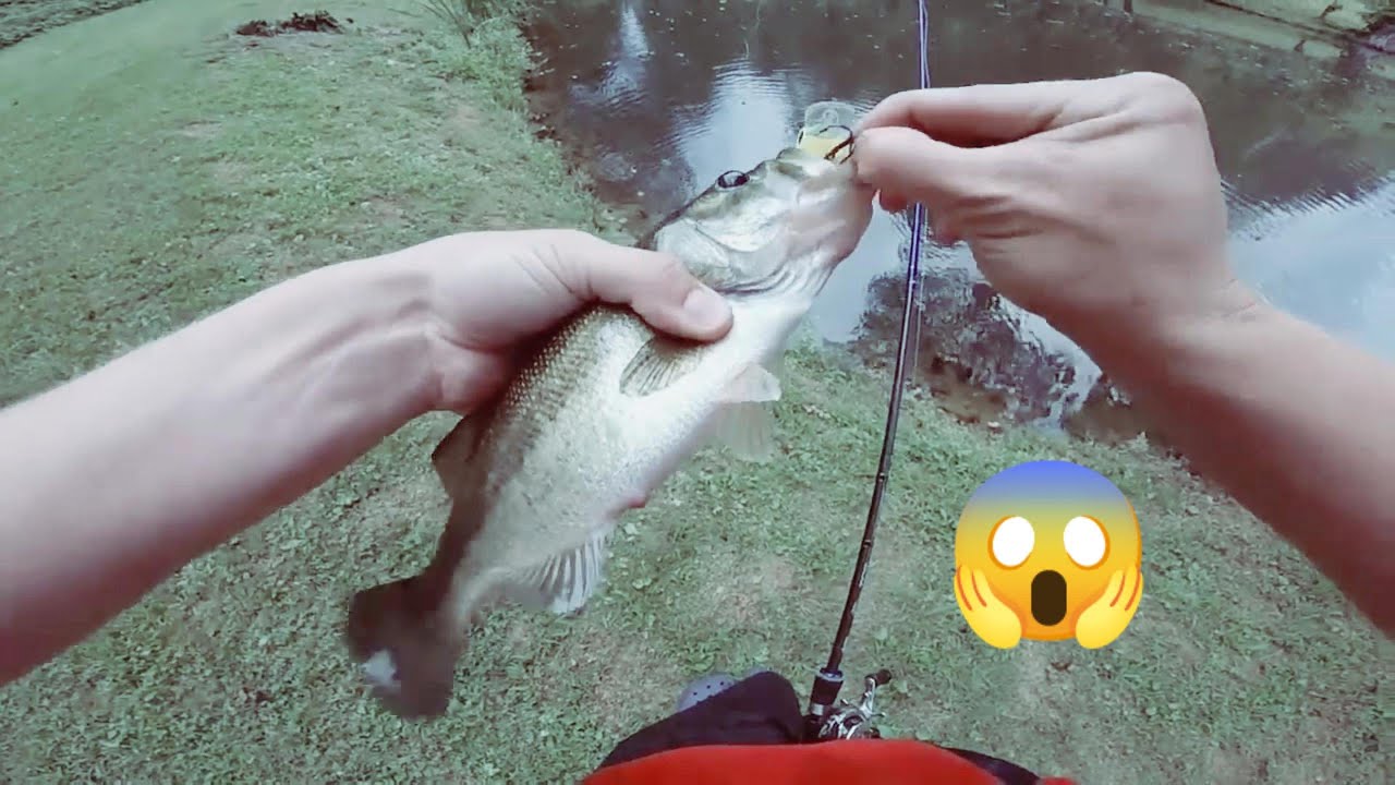 Hook Set Perfection 🎣🔥 | Monster Fish Hooked Instantly | Ultimate ...