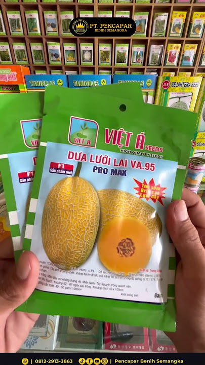 Premium melon seeds #melon seeds #fruit #abundant harvest #fruits #melon seeds #agriculture