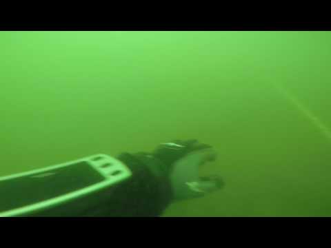 Allegheny River Training Dive