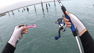 I was SCARED of this happening someday.. (Saltwater Fishing)