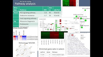 Analyzing RNA-Seq data using iDEP