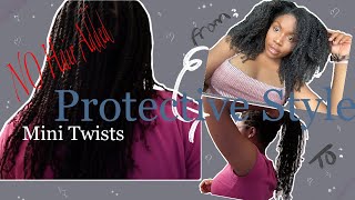 Mini twists on NATURAL HAIR ! NO Added Hair (TYPE 4) | Two Strand Twists | PROTECTIVE STYLE