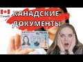 КАК ОФОРМИТЬ ПЕРВЫЕ ДОКУМЕНТЫ В КАНАДЕ | SIN | OHIP | PR CARD