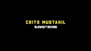 crito mustahil Denny caknan (slowed reverb)