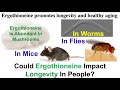 Ergothioneine extends lifespan in worms flies and mice what about in people