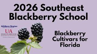Blackberry Varieties: Blackberry Cultivars for Florida