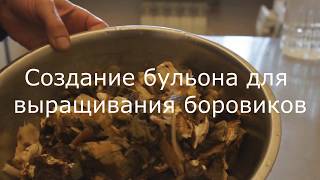 Бульон для получения мицелия. Выращивание белых грибов. Белые грибы на участке. ( вопрос №2) Бульон для получения мицелия. Выращивание белых грибов. Белые грибы на участке. ( вопрос №2)