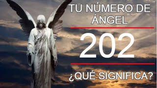 Angel Number 202 | Are you seeing the number 202 | Here's why