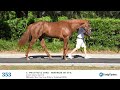 HIP 353 Fasig Tipton Maryland 2026