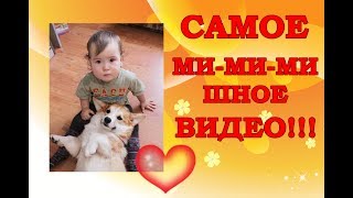 САМОЕ МИ-МИ-МИШНОЕ ВИДЕО НА КАНАЛЕ! САМОЕ МИ-МИ-МИШНОЕ ВИДЕО НА КАНАЛЕ!