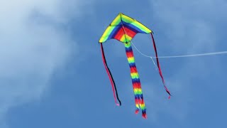Kites on Webbs Heath - Super Rainbow Flyer