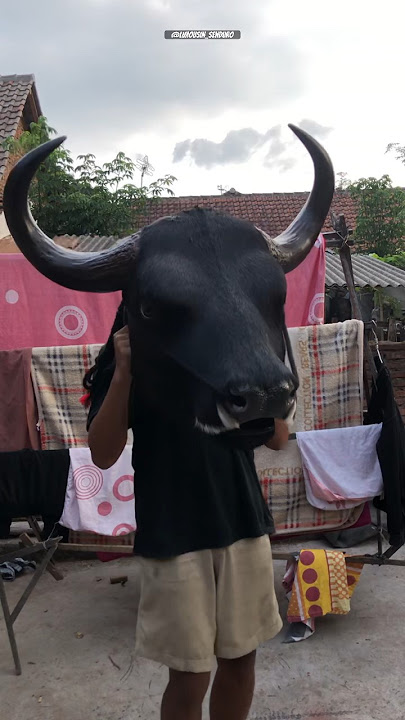 #viral #bantengan #mberot #senibudaya #bantenganmalang #malang
