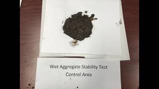 Wet Aggregate Stability Soil Test