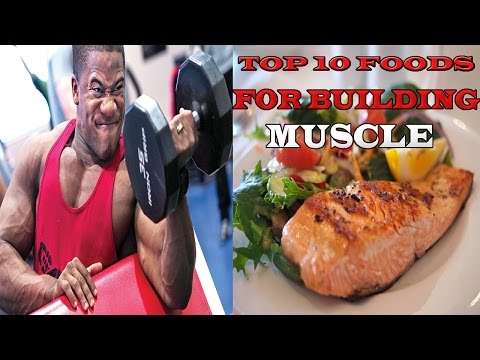 Top   Muscle Gain  Foods  For Bodybuilding  diet |  Top foods To Muscle Mass& Health Fitness