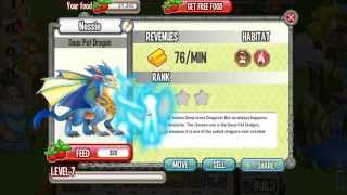 Dragon City-Deus Pet Dragon!