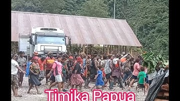 Lagu Seka Papua Terbaru 2021-2022 #viral #papua #papuaindonesia #timika #papu #viralshorts