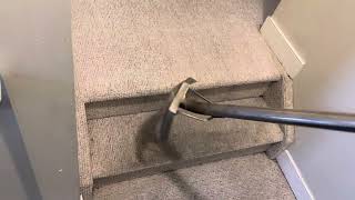 Frog 🐸 Nasty Carpet Steam Cleaning