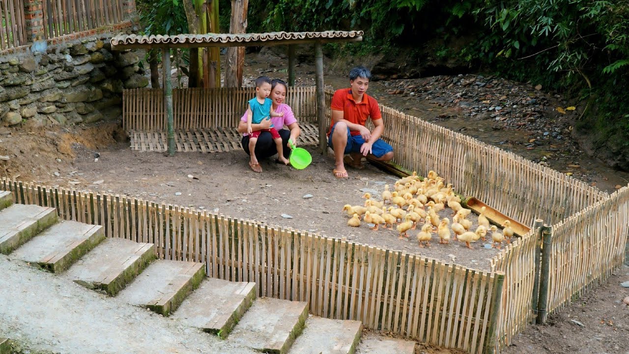 daily-life-of-a-small-family-in-the-mountains-and-forests-below-are