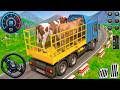 New Zoo Animal Cargo Truck 3D: Cows Truck transport mission driving game - android gameplay