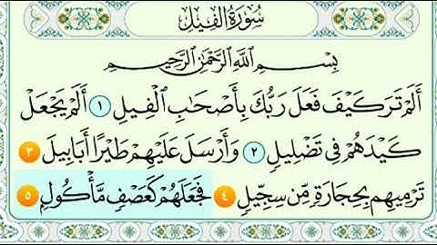 سورة الفيل من الآية ٣ إلى الآية ٥