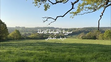 سورة القيامة كاملة شريف مصطفى / Surah Al-Qiyamah Sherif mostafa