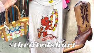 COME THRIFTING WITH ME TO GOODWILL *THIS IS SATIRE* #shorts #goodwill #thrifthaul #thrifting Resimi