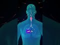 كيف تحدث العدوى البكتيرية كيف تصيب أجسامنا وكيف نتغلب عليها