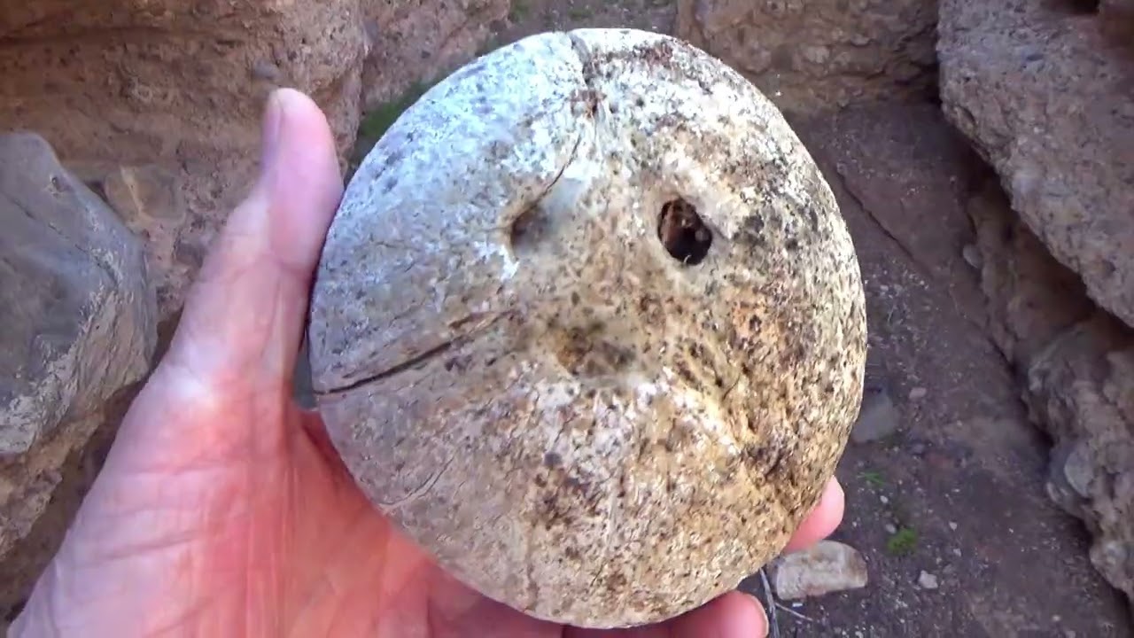 More Volcanic Vents above Lake Mead