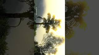 Village Life Use Head Phone Close Your And Feel The Moment