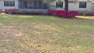 1613 Central Ave, Steinhatchee, FL Presented by Dewey Hatcher.