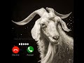 Goat рџђђ Mobile Message Tone Ringtone Trendingtone Goat Shorts Goat рџђђ Mobile Message Tone Ringtone Trendingtone Goat Shorts