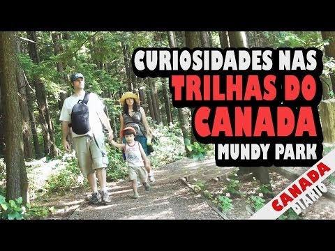 Vídeo: Hunter Conheceu Bigfoot Nas Florestas Do Canadá - Visão Alternativa